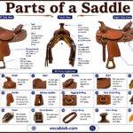 Parts of a Saddle and Their Functions