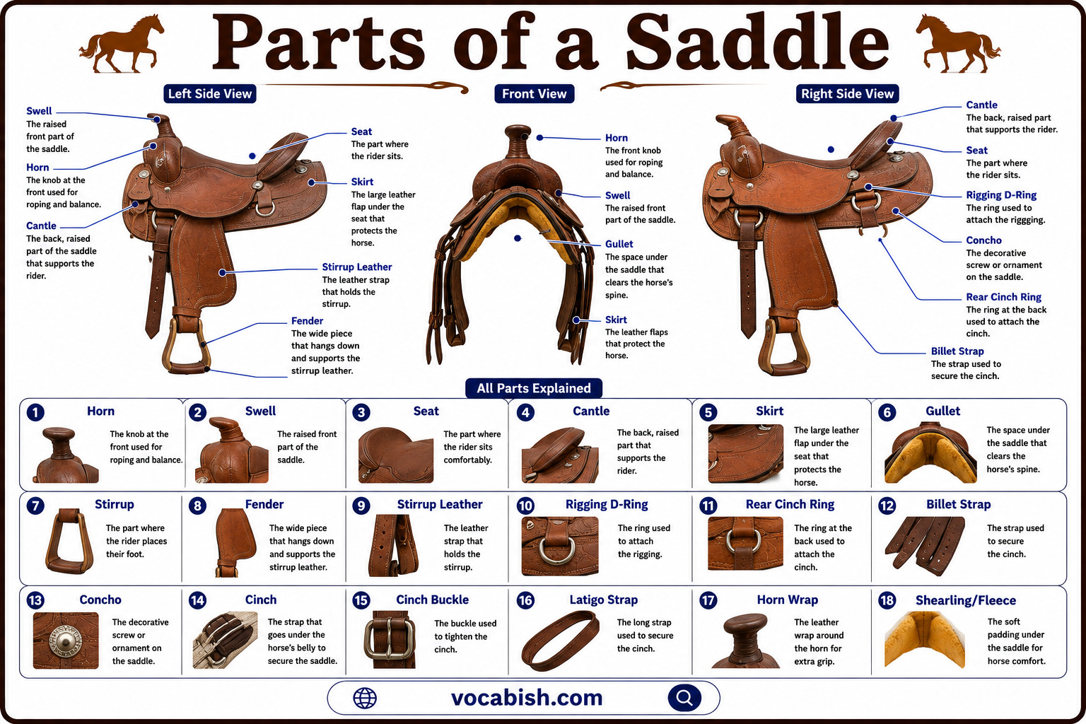 Parts of a Saddle and Their Functions