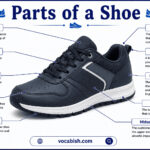 Parts of a Shoe with Their Functions