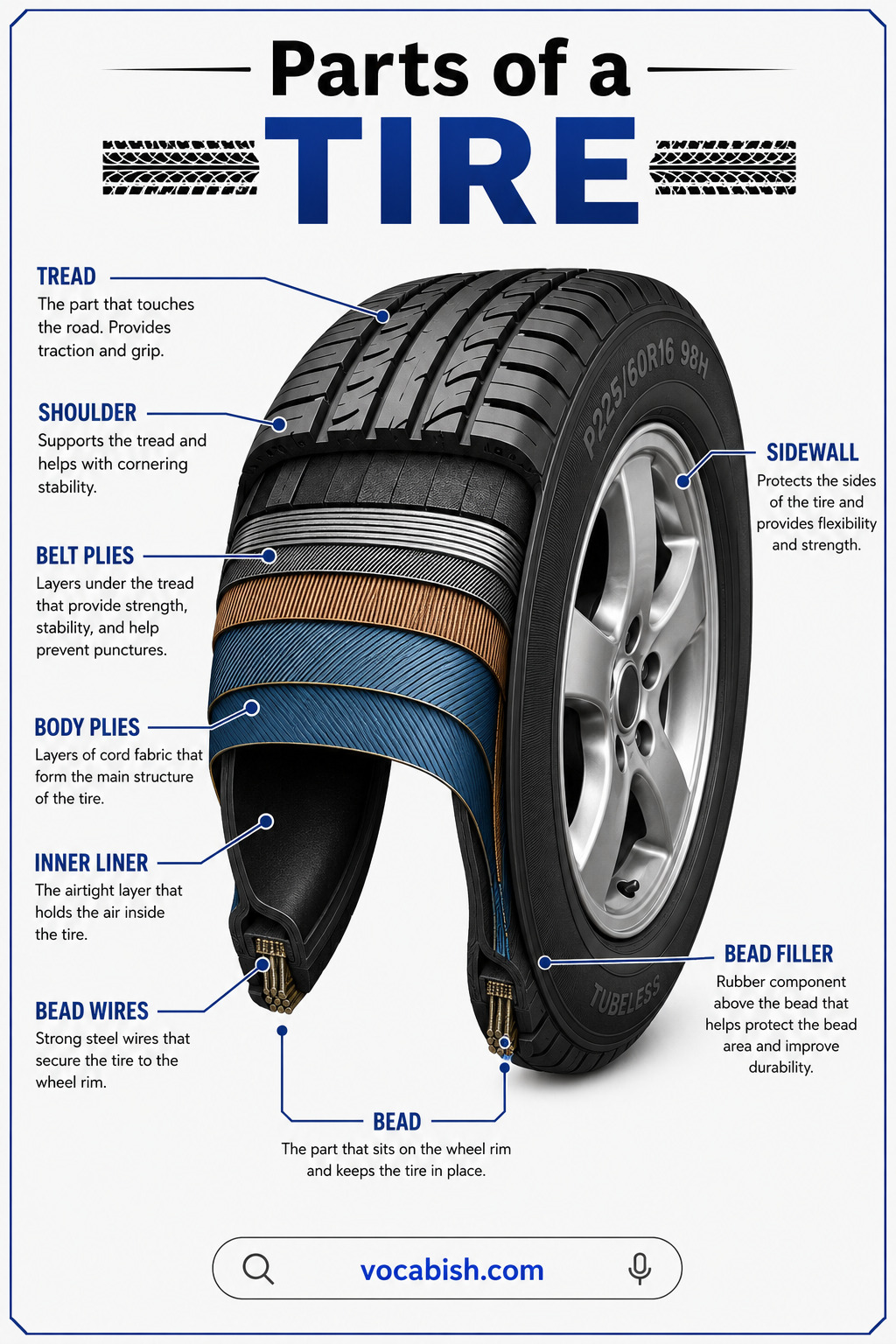 Parts of a Tire Diagram Explained with Uses
