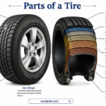 Parts of a Tire with Functions