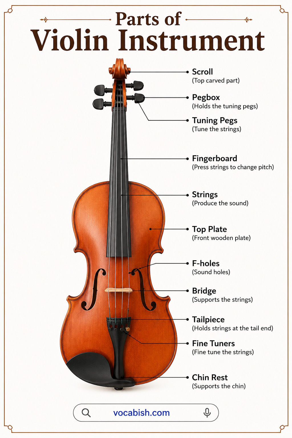 Parts of a Violin Diagram