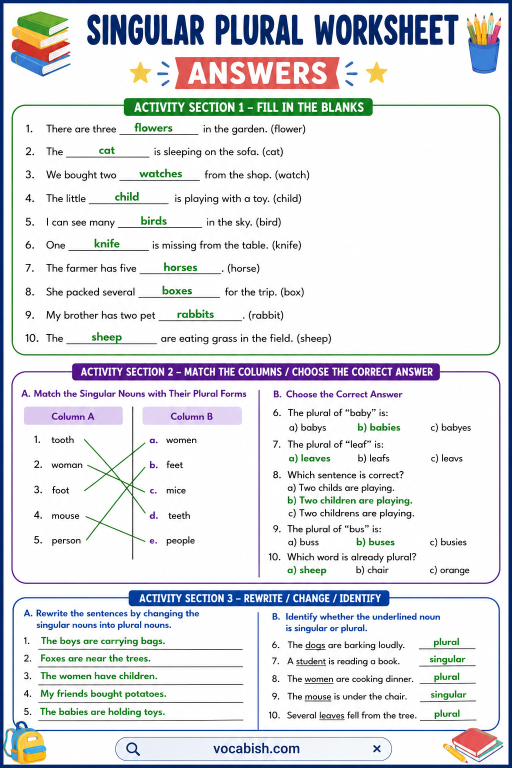 Singular and Plural Worksheets Answers