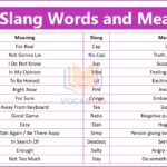 Slang Words and Meanings with PDF