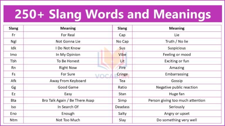 Slang Words and Meanings with PDF