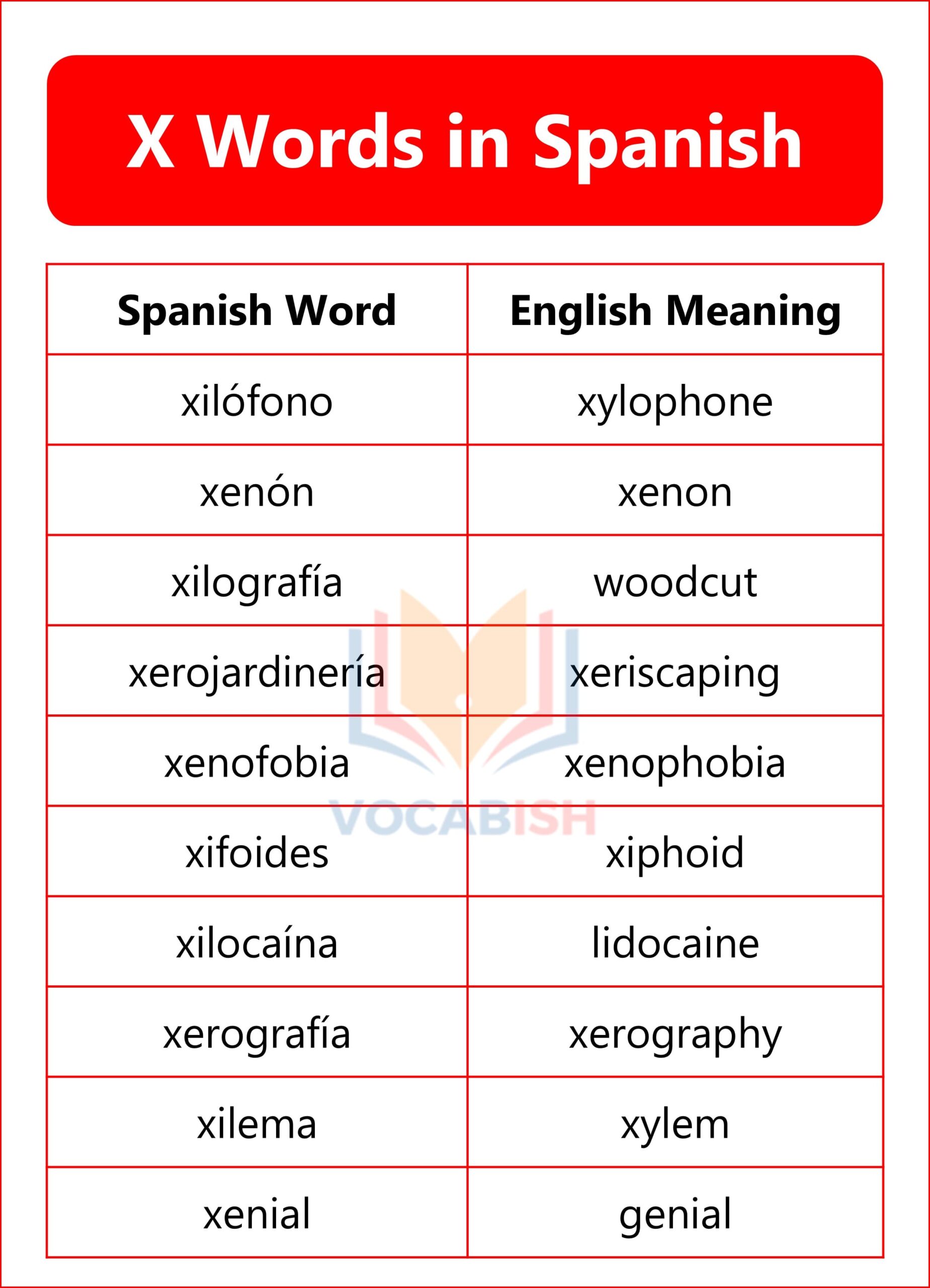 Spanish Words that Start with X