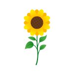 Bright yellow sunflower standing tall in a sunny garden