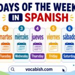 The 7 Days of The Week in Spanish