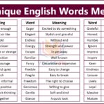 Unique English Words and Meanings PDF