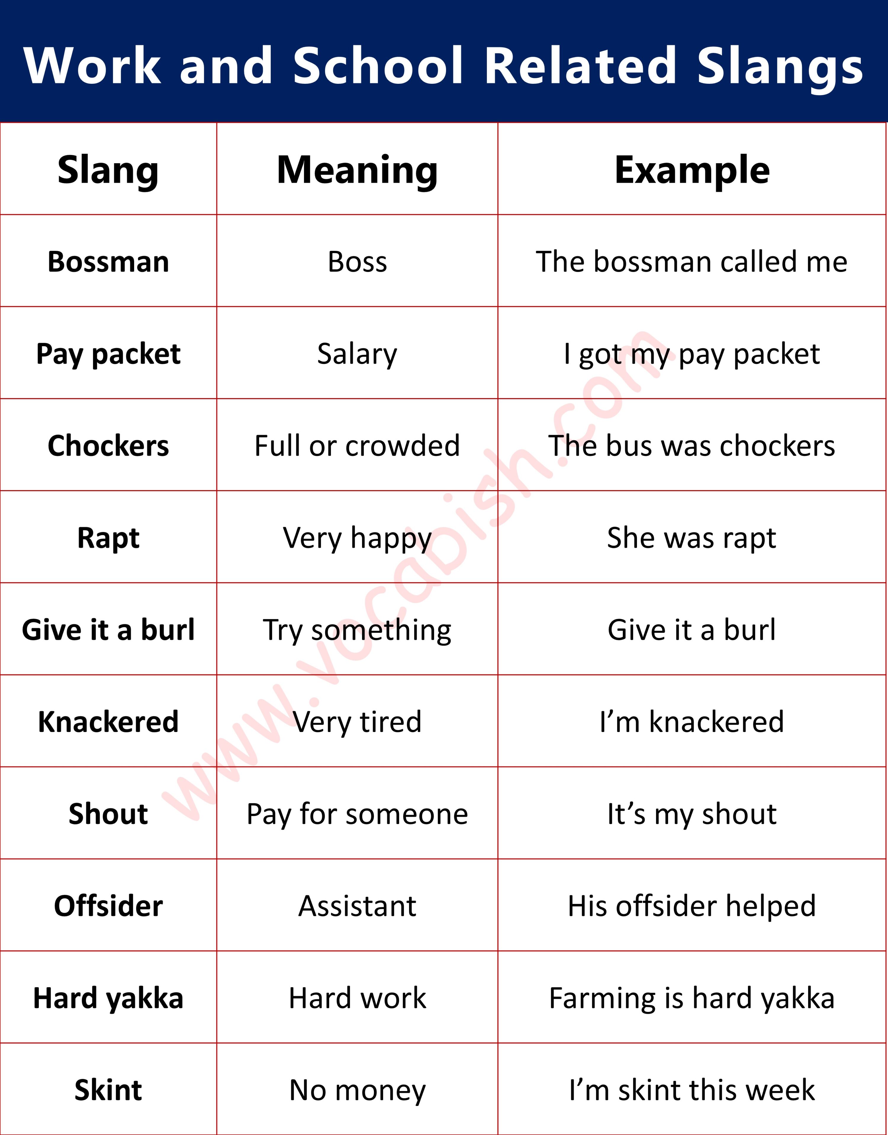Work and School Related Slangs