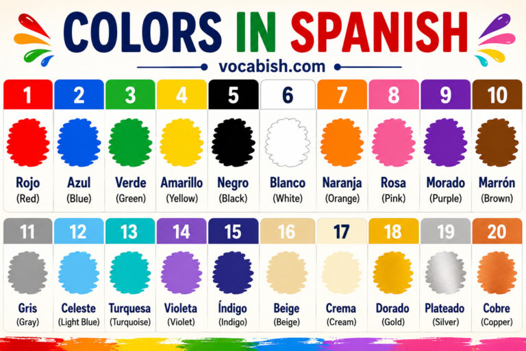 Colors in Spanish with Their English Translations