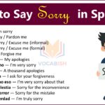 Sorry in Spanish with English Translation and PDF
