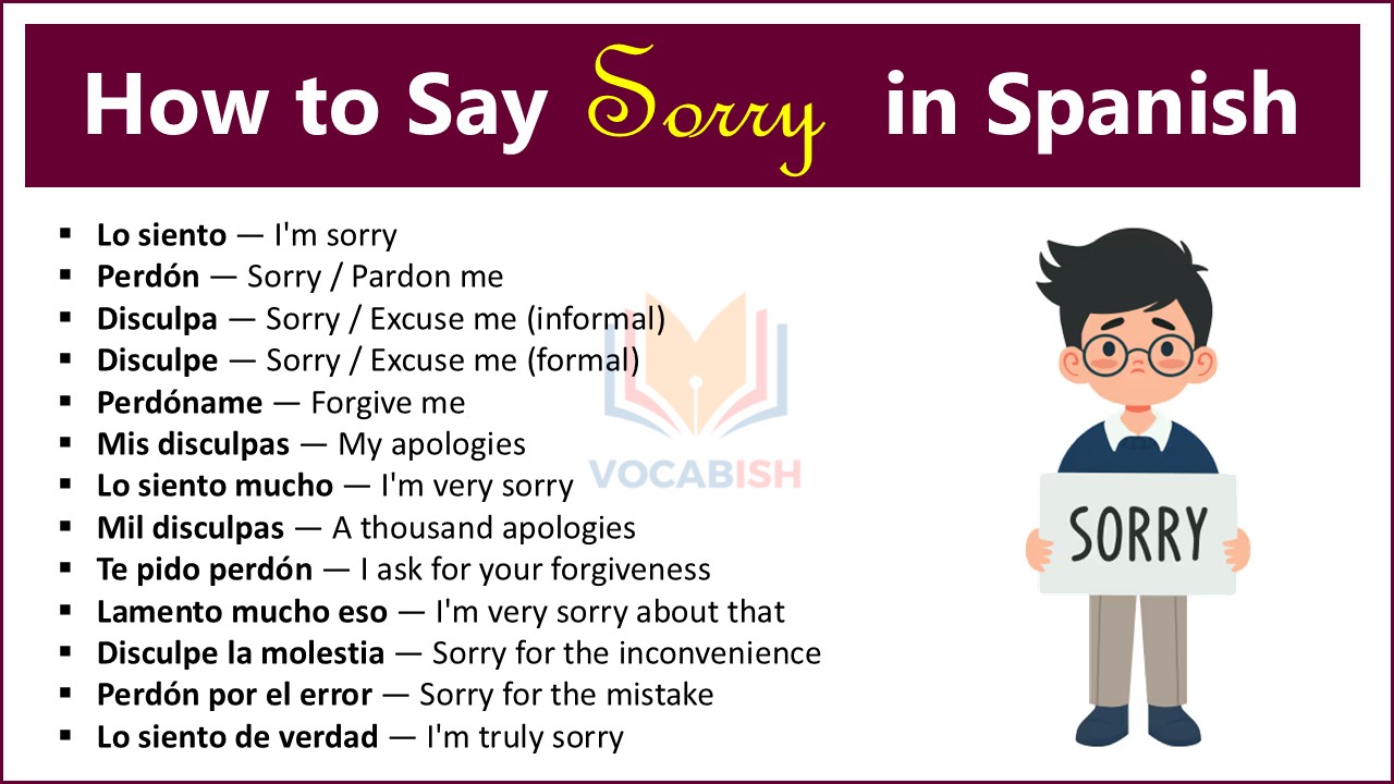 Sorry in Spanish with English Translation and PDF