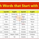Spanish G Words with English Meanings