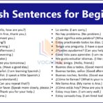 Spanish Sentences for Beginners PDF