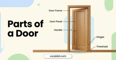 Parts of a Door: Names, Functions, and Pictures