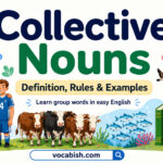 Collective Nouns Definition and Examples