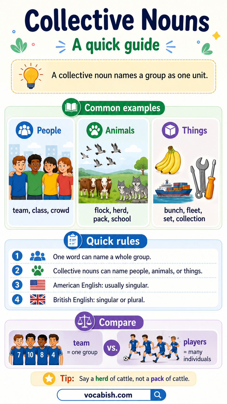 Collective Nouns Explained in English