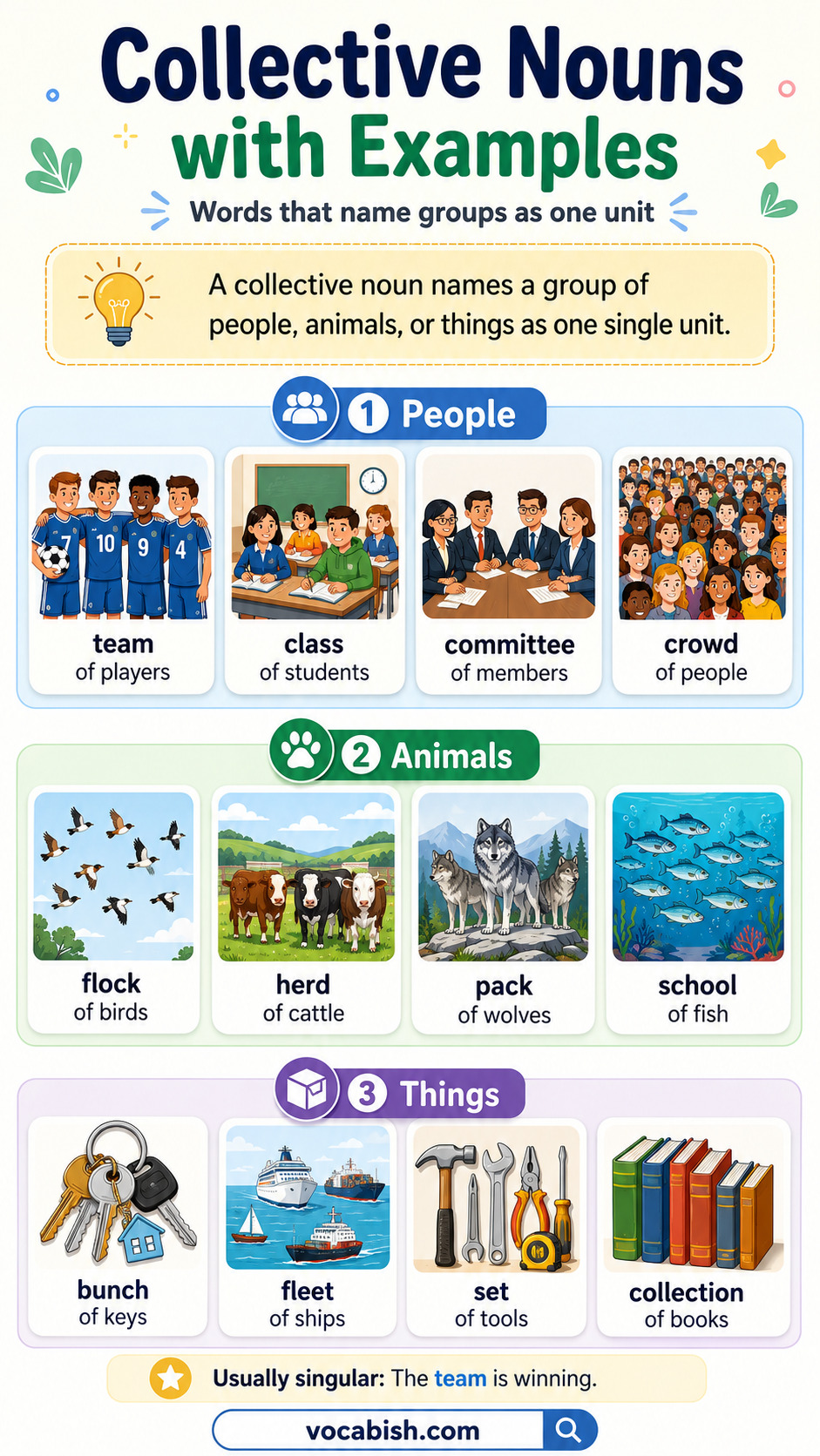 Collective Nouns with Examples