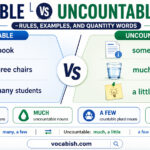 Countable and Uncountable Nouns Explained with Uses and Examples