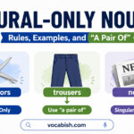 Nouns that Always Plural Explained with Rules and Examples