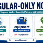 Nouns that Always Singular Explained with Rules and Examples