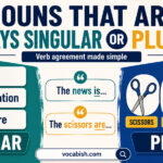 Nouns that are Always Singular and Plural Explained with Types and Examples