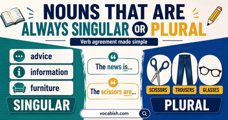 Nouns that are Always Singular and Plural Explained with Types and Examples