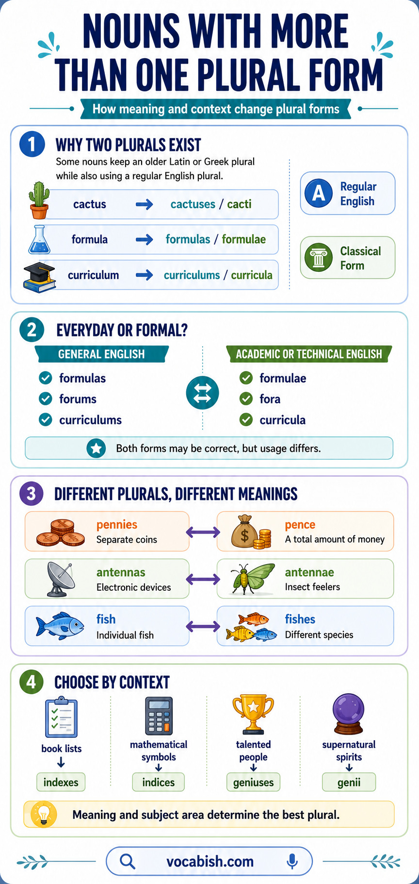 Nouns with More Than One Plural Form