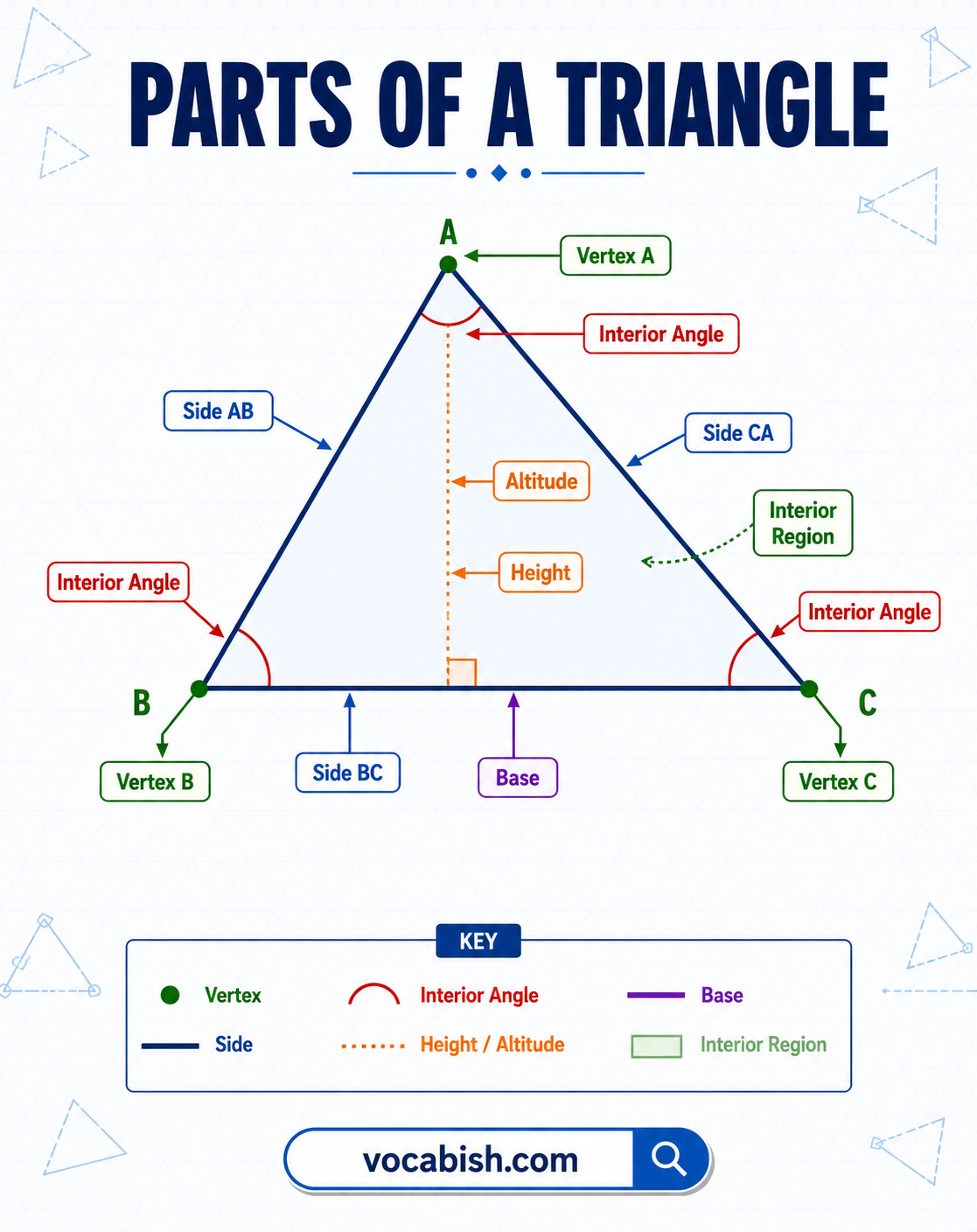 Parts of a triangle showing sides angles vertices base and height