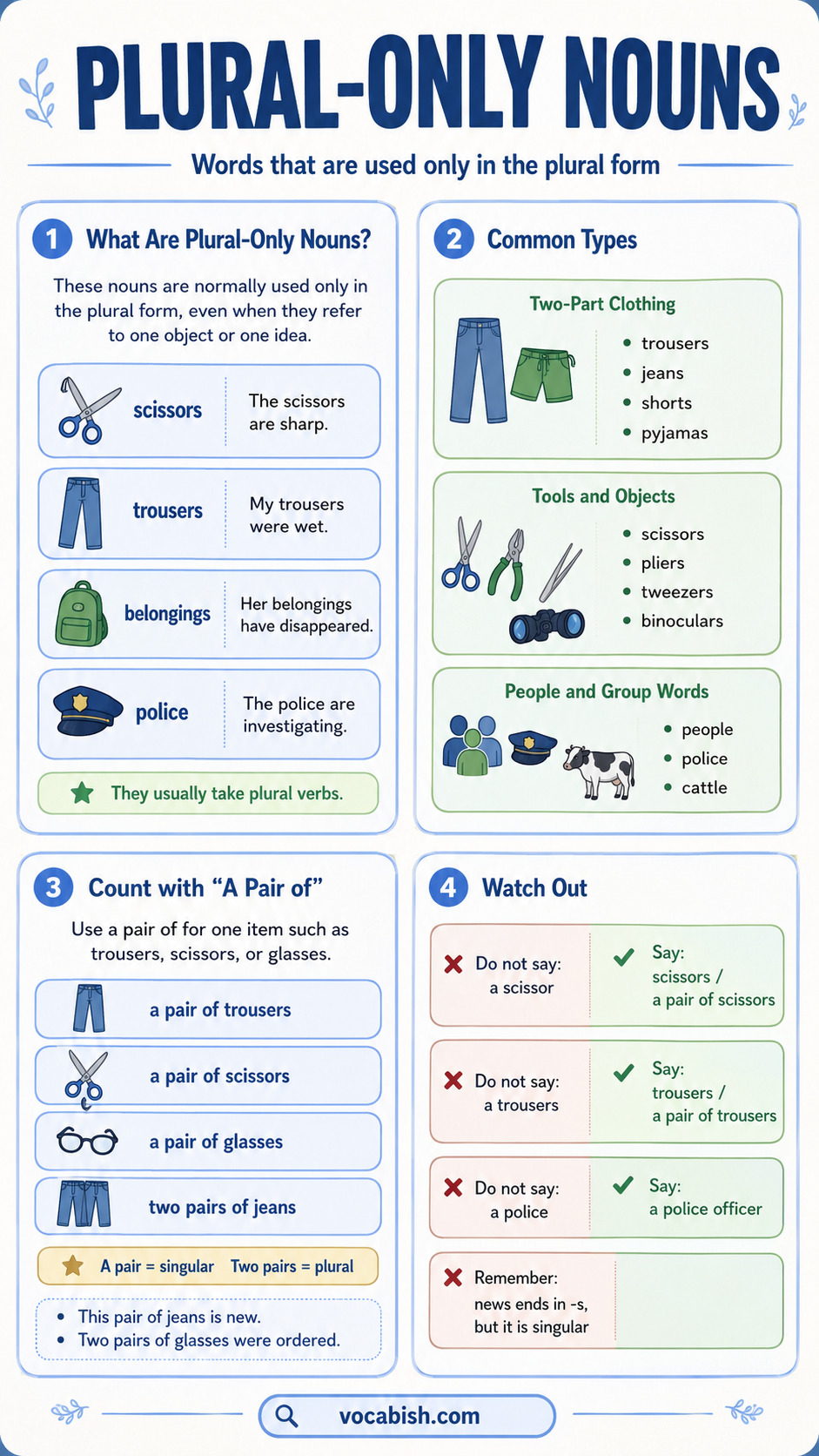 Plural Only Nouns Explained with Rules and Examples