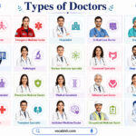 Types of Doctors Explained with Their Specialties