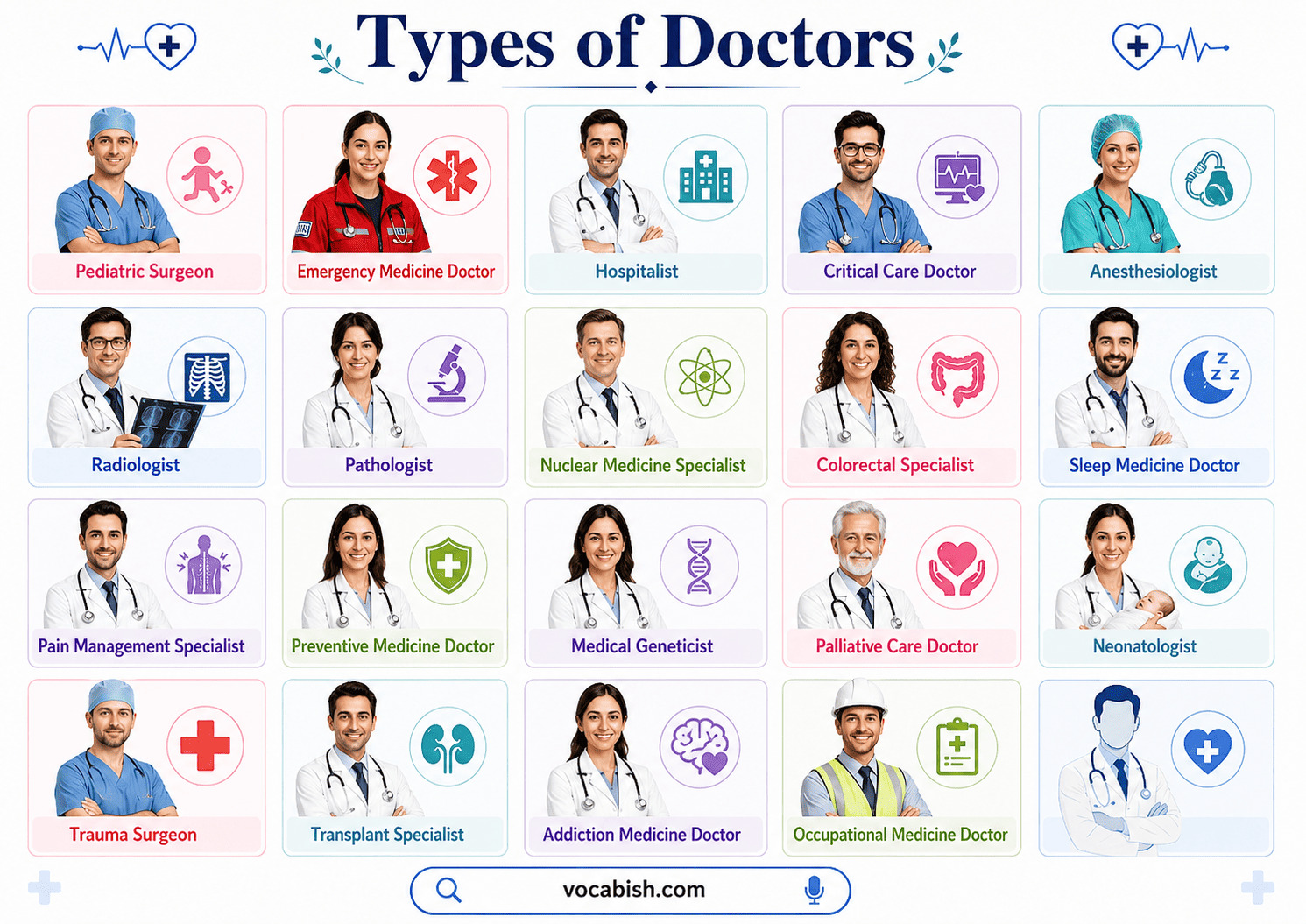 Types of Doctors Explained with Their Specialties