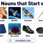 1000+ Nouns that Start with S along with Their Meanings and Examples in Sentences