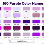160 Purple Color Names and Pictures with Codes