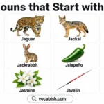 300+ Nouns Starting with J along with their Meanings and Examples in Sentences