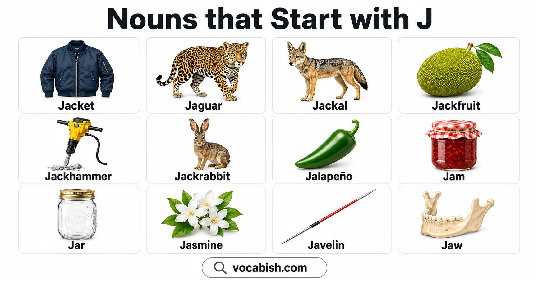 300+ Nouns Starting with J along with their Meanings and Examples in Sentences