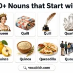 300+ Nouns that Start with Q and Their Meanings with Examples in Sentences
