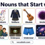 300+ Nouns that Start with U and Their Meanings and Examples
