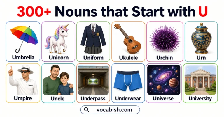 300+ Nouns that Start with U and Their Meanings and Examples