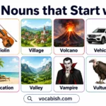 300+ Nouns that Start with V