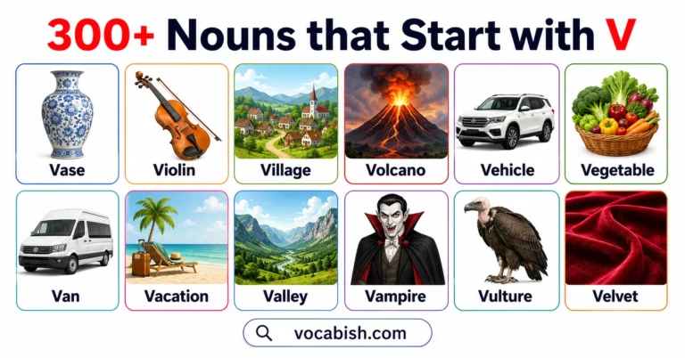 300+ Nouns that Start with V