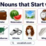 300+ Nouns that Start with W
