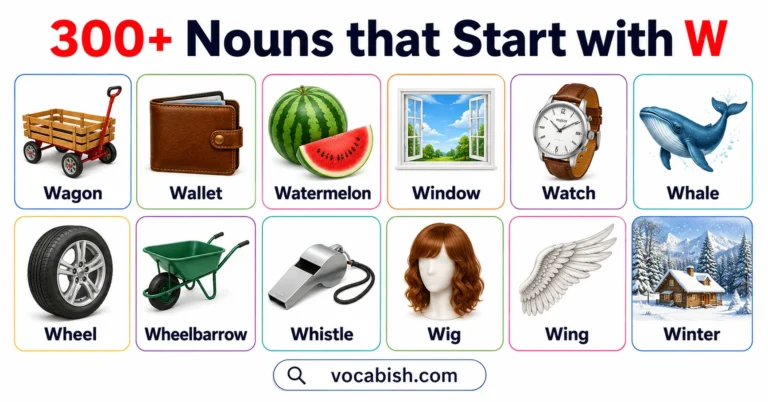 300+ Nouns that Start with W