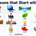 370+ Nouns that Start with L Provided with Meanings and Examples