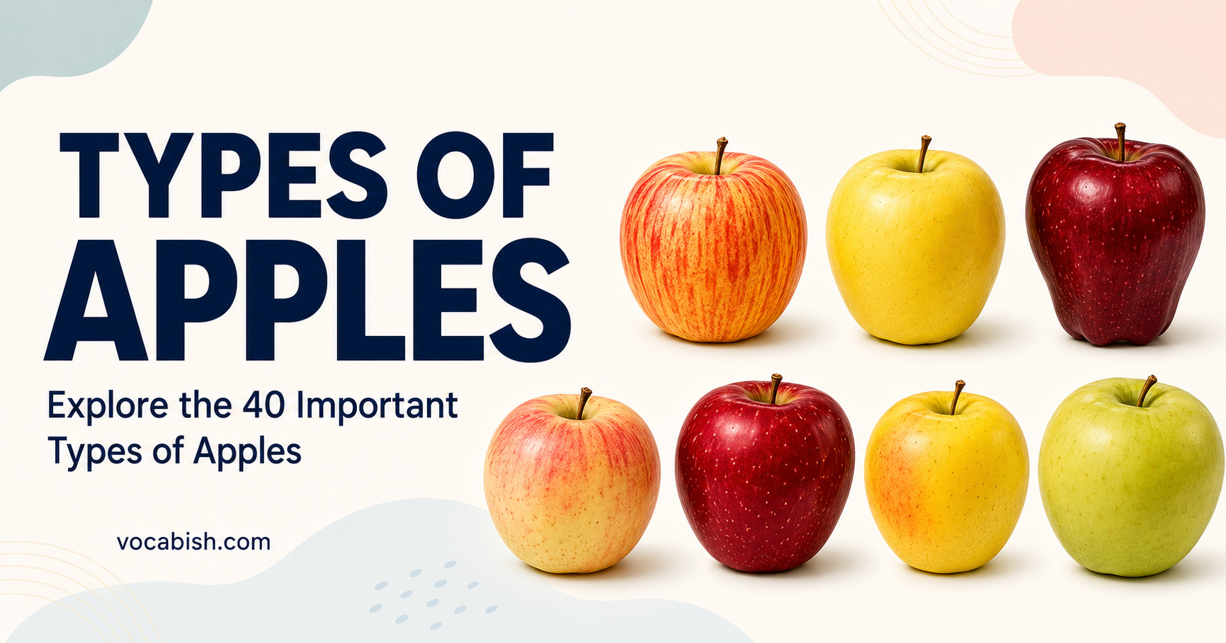 40 Types of Apples and Their Uses