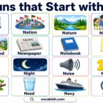 500+ Nouns Starting with N Explained with Their Meanings and Examples in Sentences