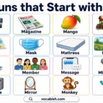 500+ Nouns that Start with M