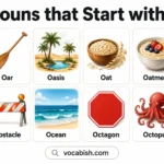 520 Nouns that Start with O along with their Meanings, Examples, and Pictures