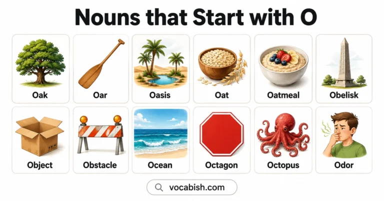 520 Nouns that Start with O along with their Meanings, Examples, and Pictures